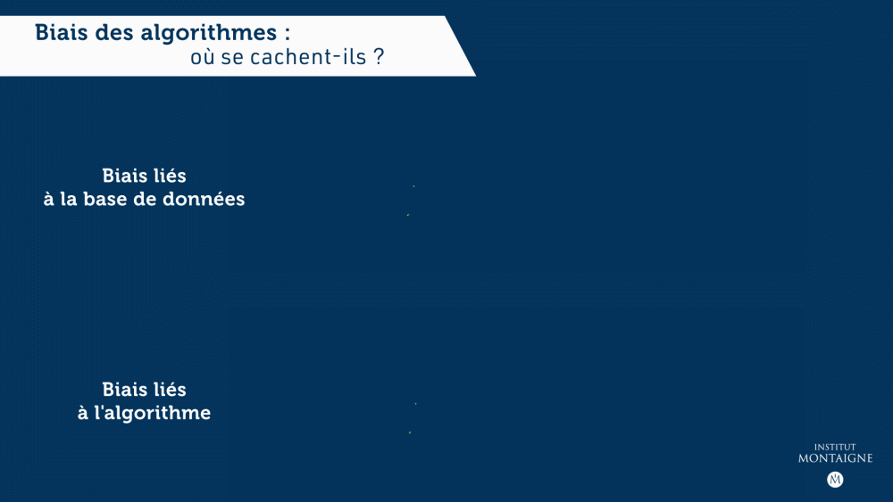 Biais des algorithmes