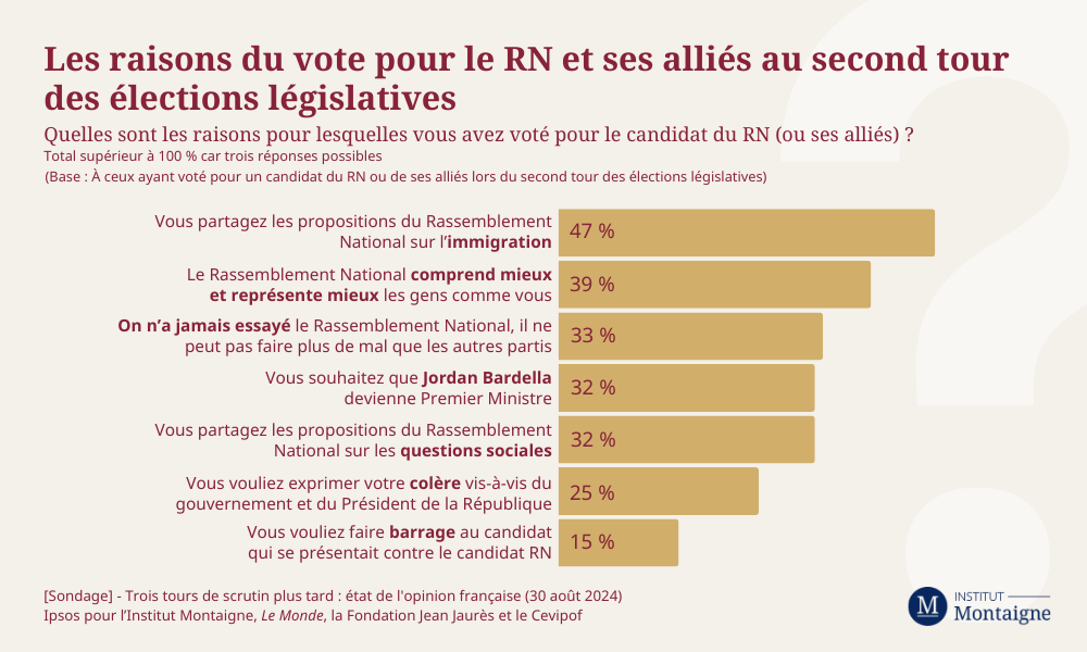 Les raisons du vote pour le RN et ses alliés au second tour des élections législatives infographie