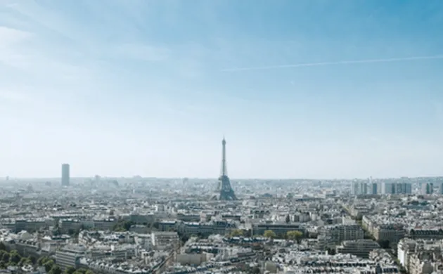 The French Brief