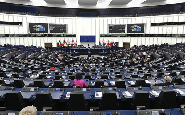 Europe and Economic Coercion