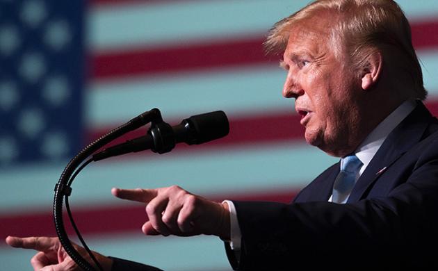 2020: An American Year
