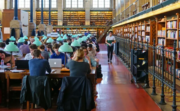 Quels sont les grands défis de l'enseignement supérieur en France ? Trois questions à Peter Todd