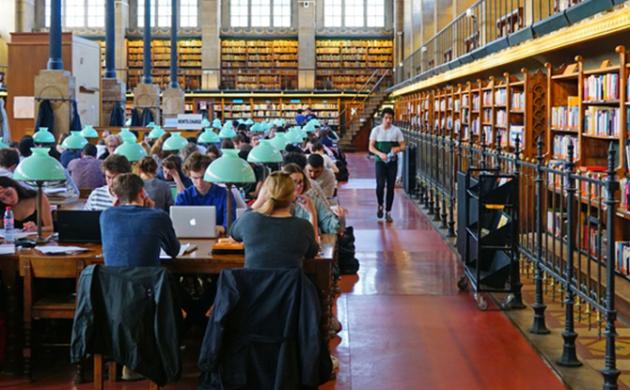Three Questions for Peter Todd on Higher Education