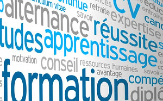 L’apprentissage, parent pauvre du projet de loi sur la formation professionnelle