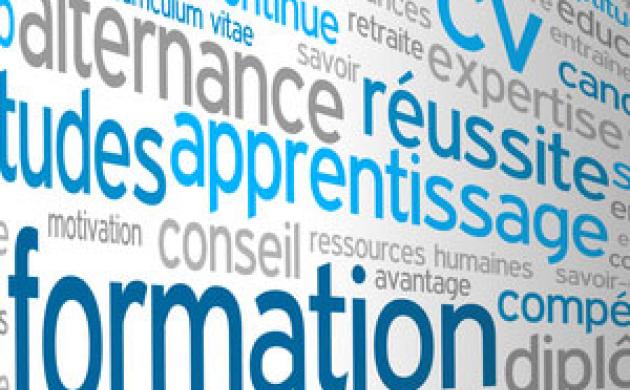 L’apprentissage, parent pauvre du projet de loi sur la formation professionnelle