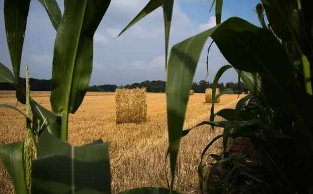 PAC, climat, souveraineté alimentaire : enjeux d’une agriculture française