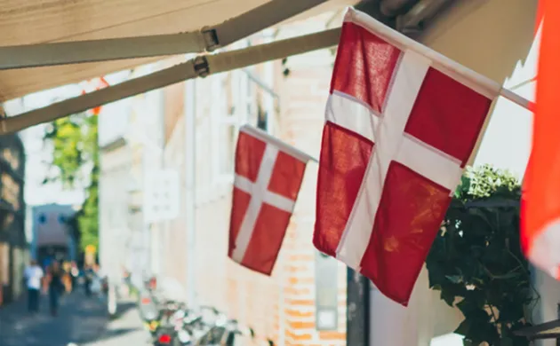Assurance chômage, formation professionnelle et apprentissage au service du marché du travail : le cas du Danemark. 