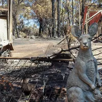 Fighting Climate Change the Australian Way?