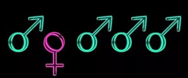 Quelles places pour les femmes dans la haute fonction publique ?
