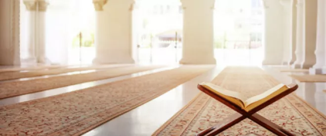 Islam de France : "L'argent ne va pas là où il devrait aller"