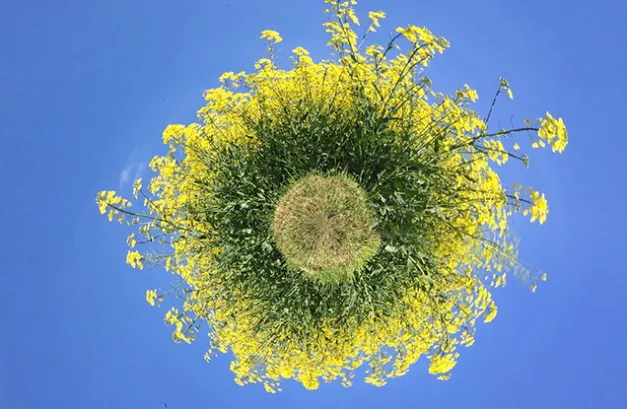 Environnement et croissance : just married?