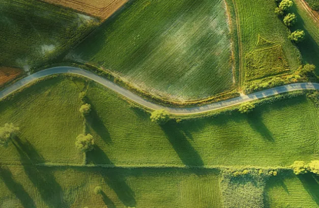 Quel(s) avenir(s) pour l'agriculture française ?